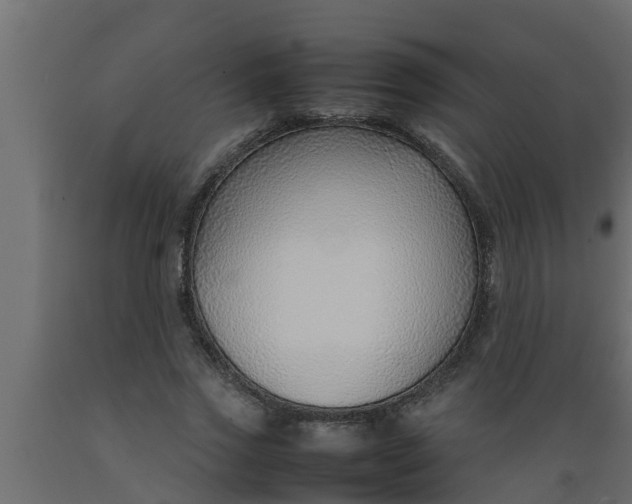 X0000089460733200707061302