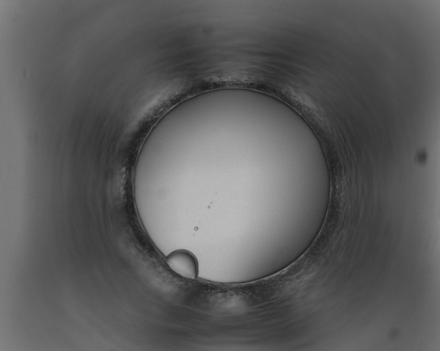 X0000089460735200707061302