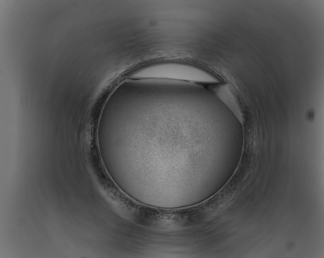 X0000089460736200707061302