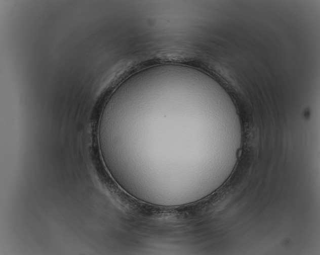 X0000089460738200707061302