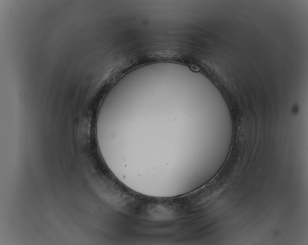 X0000089460739200707061302