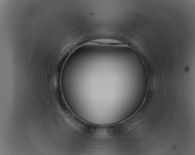 X0000089460740200707061302
