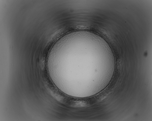 X0000089460741200707061302