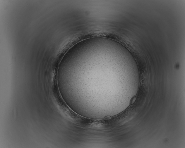X0000089460742200707061302