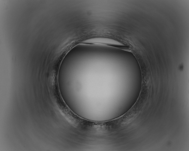X0000089460744200707061302