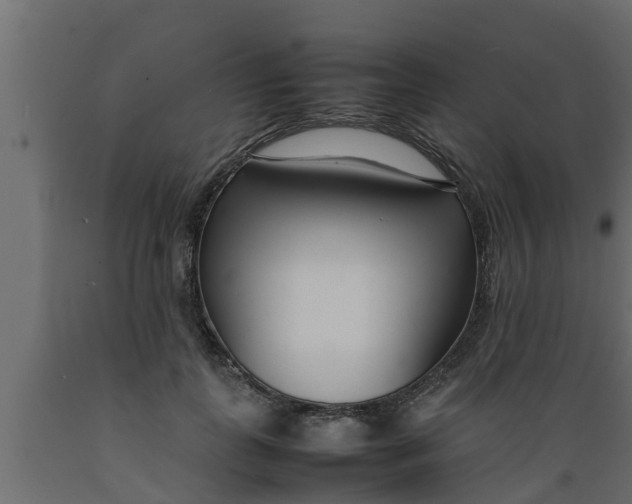 X0000089460747200707061302
