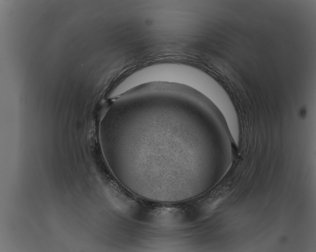 X0000089460748200707061302