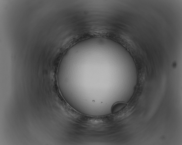 X0000089460749200707061302