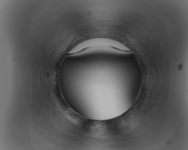 X0000089460750200707061302