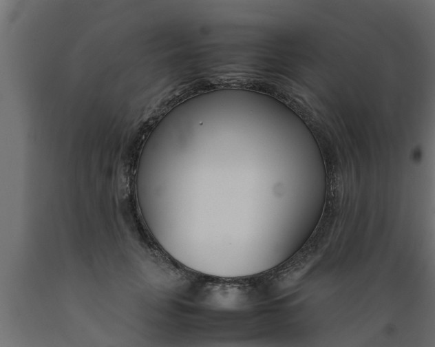 X0000089460751200707061302