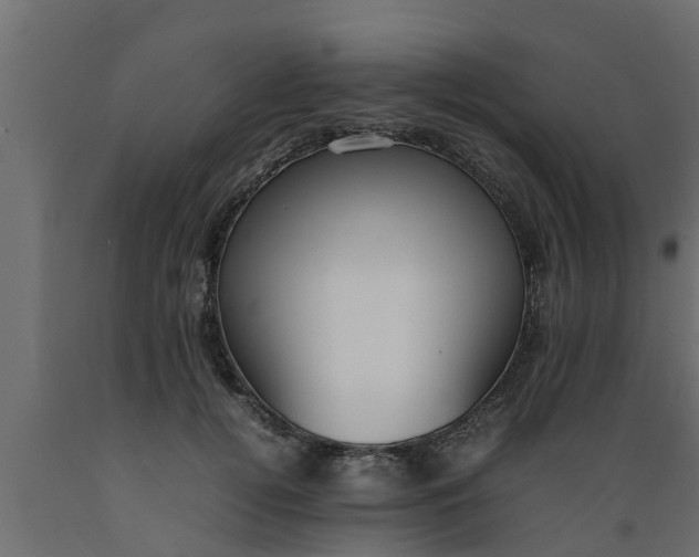 X0000089460752200707061302