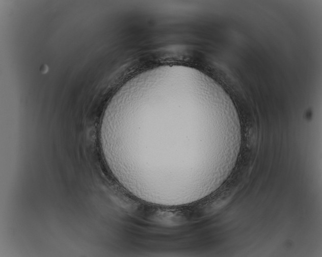 X0000089460753200707061302