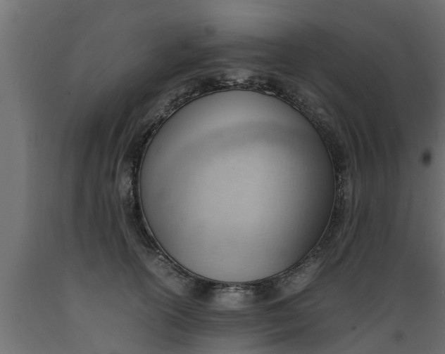 X0000089460754200707061302