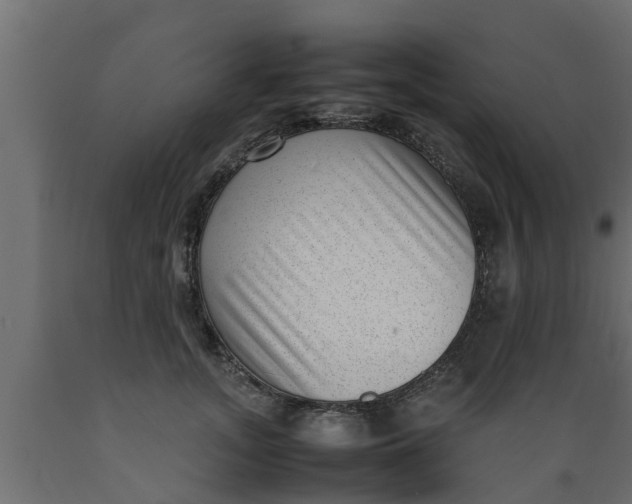 X0000089460755200707061302