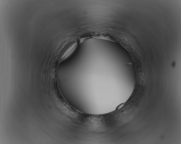 X0000089460756200707061302