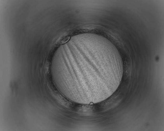 X0000089460758200707061302