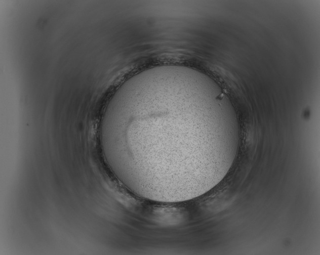X0000089460759200707061302