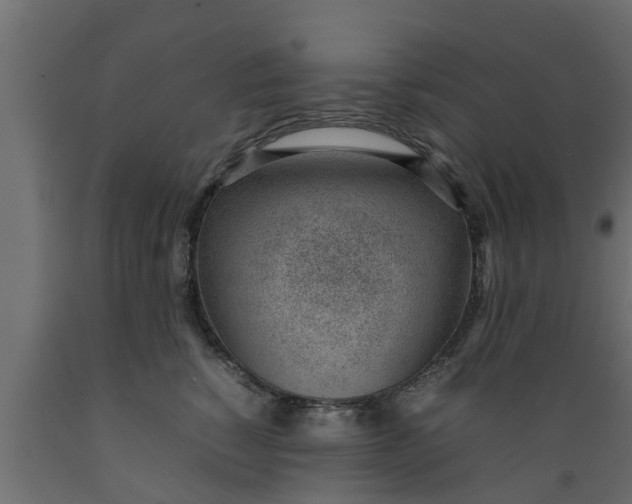 X0000089460760200707061302