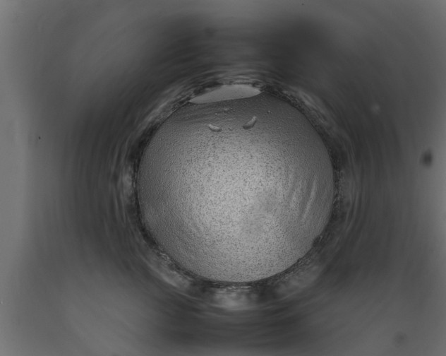 X0000089460761200707061302