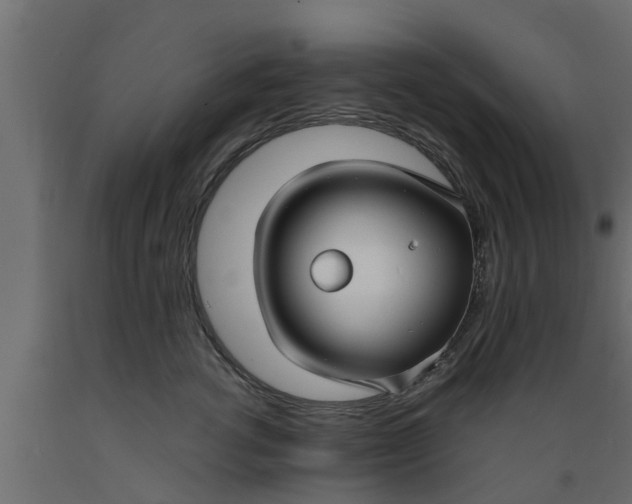 X0000089460762200707061302