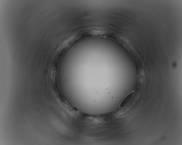 X0000089460763200707061303