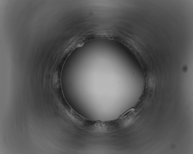 X0000089460764200707061303