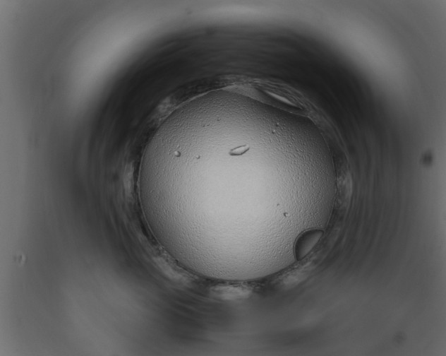 X0000089460765200707061303