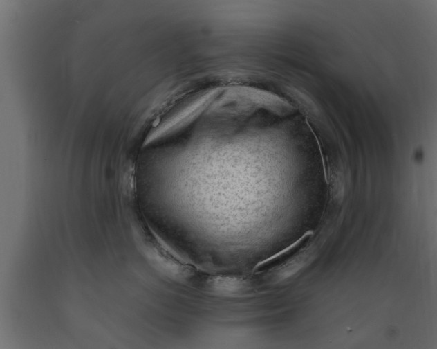 X0000089460766200707061303