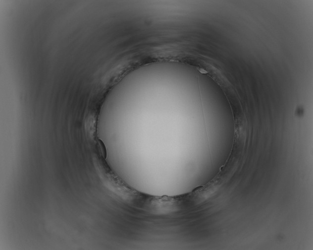 X0000089460767200707061303
