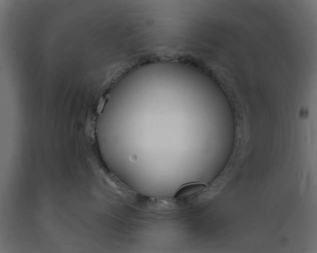 X0000089460768200707061303