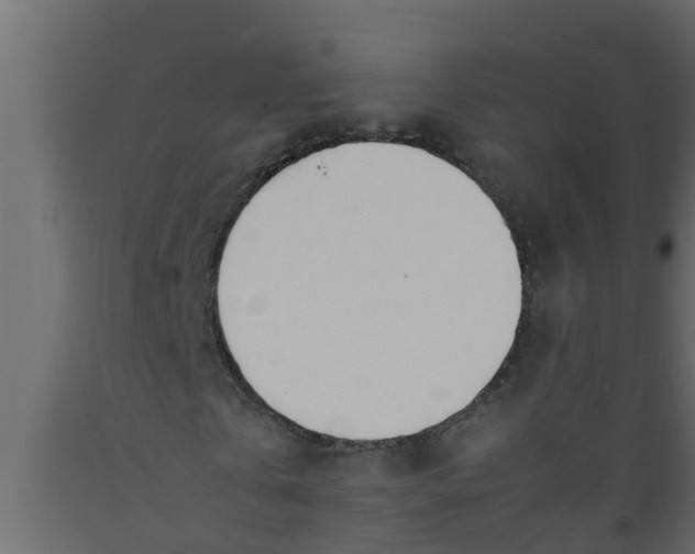 X0000089460769200707061302