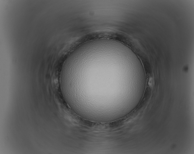 X0000089460771200707061302