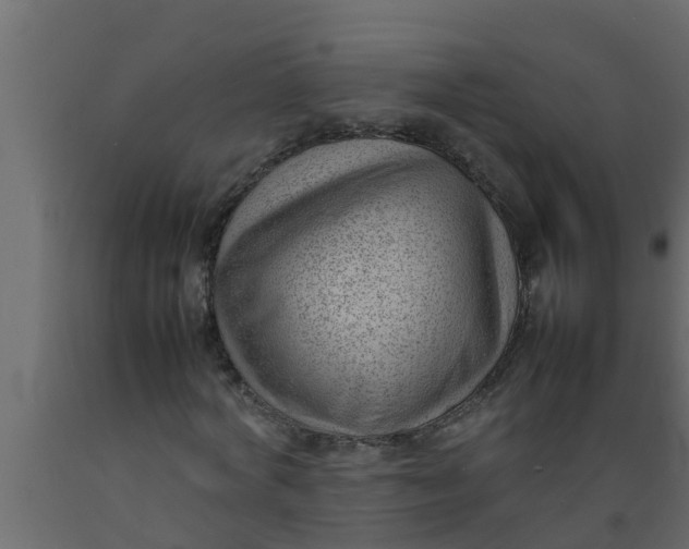 X0000089460772200707061302