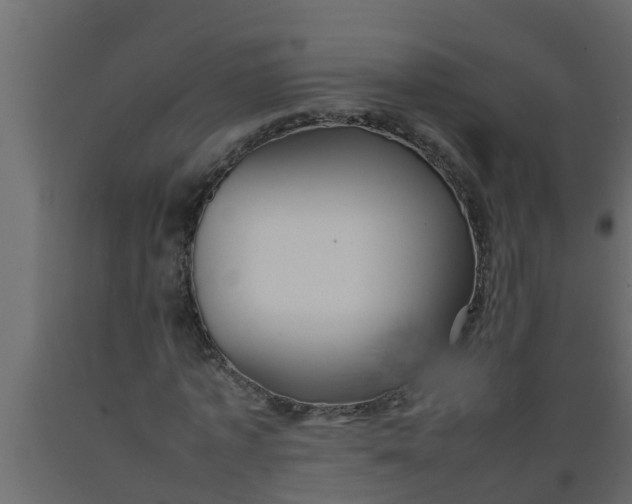 X0000089460773200707061302