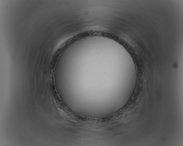 X0000089460775200707061302