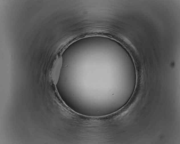 X0000089460777200707061302