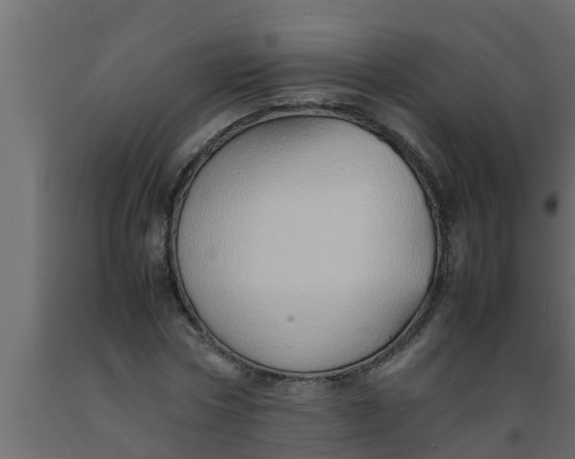 X0000089460778200707061302