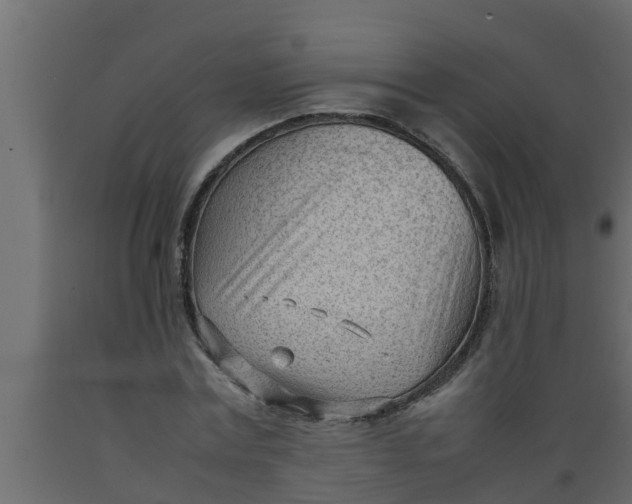 X0000089460779200707061302