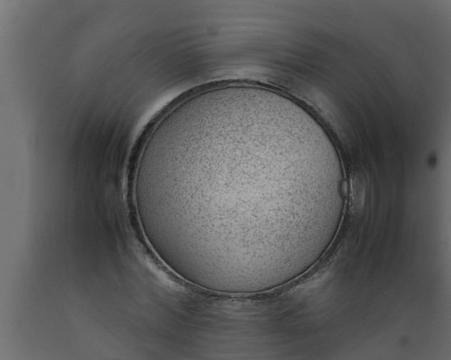 X0000089460780200707061302