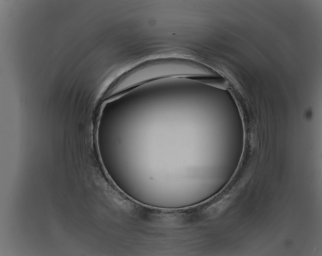 X0000089460781200707061302