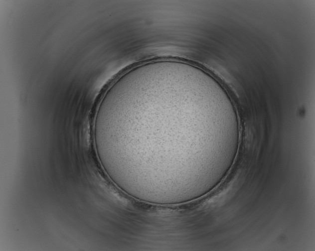 X0000089460782200707061302