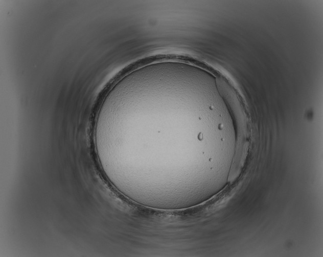 X0000089460783200707061302