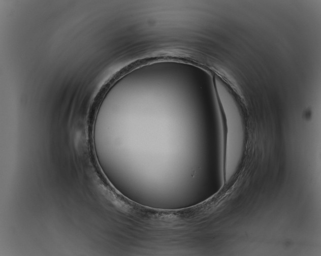 X0000089460784200707061302