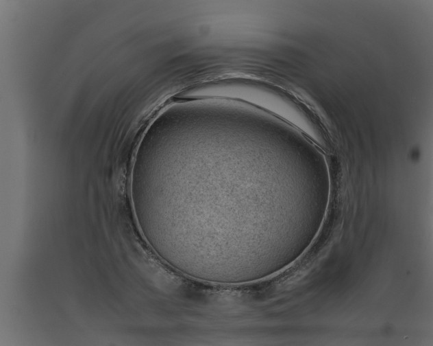 X0000089460785200707061302