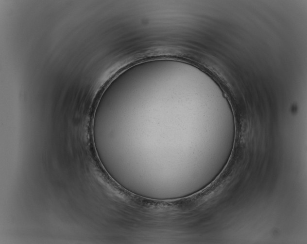 X0000089460786200707061302