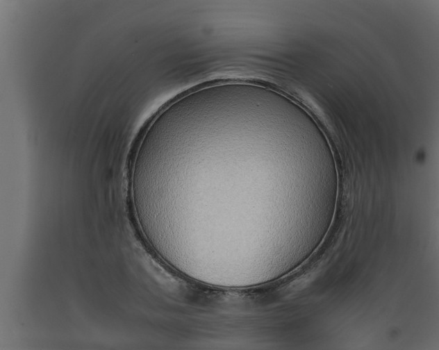 X0000089460787200707061302