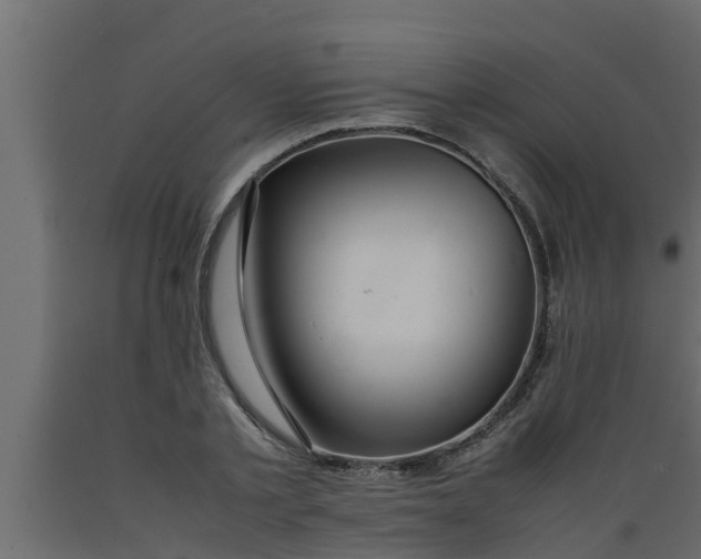 X0000089460789200707061302