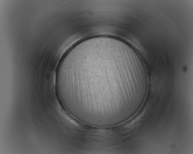 X0000089460790200707061302