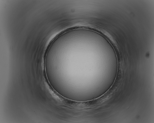 X0000089460791200707061302