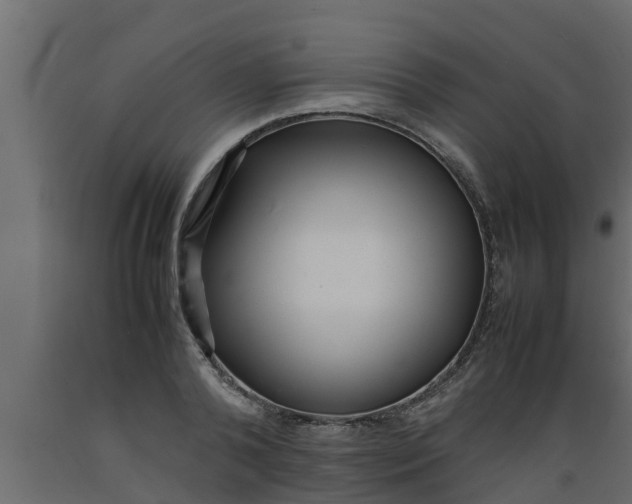 X0000089460792200707061302